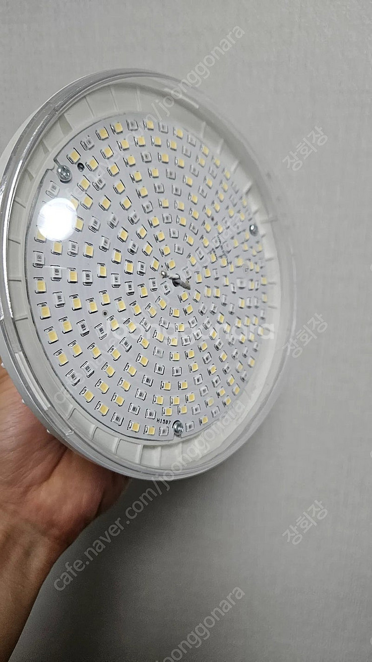 식물등 5개 일괄 led등--0